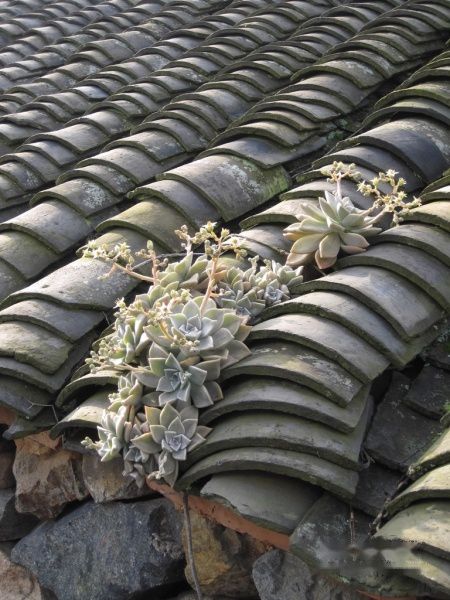 查看照片详细信息 天下民宿