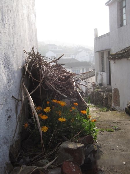 查看照片详细信息 天下民宿