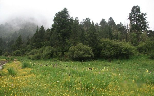 查看照片详细信息 天下民宿