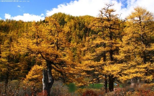 查看照片详细信息 天下民宿