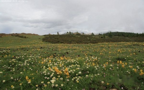 查看照片详细信息 天下民宿