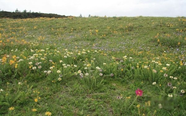 查看照片详细信息 天下民宿