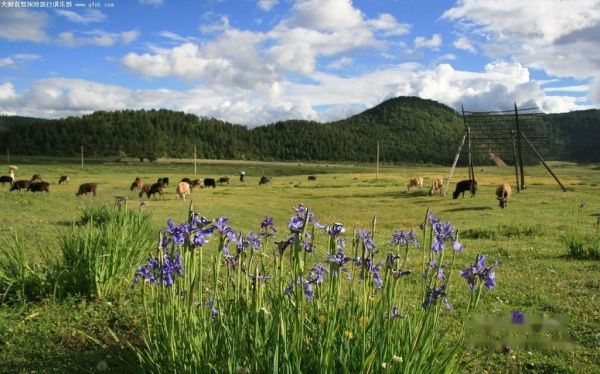 查看照片详细信息 天下民宿