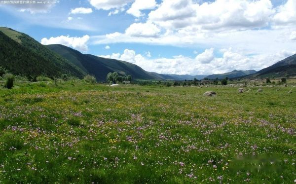 查看照片详细信息 天下民宿