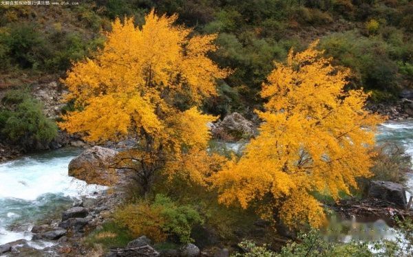 查看照片详细信息 天下民宿