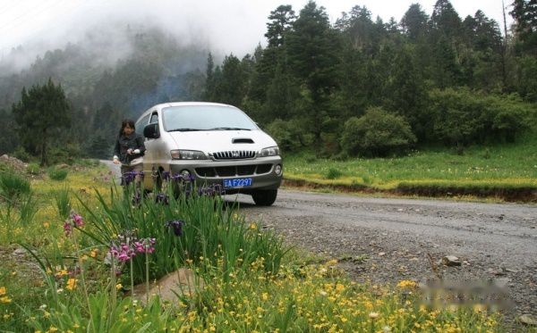 查看照片详细信息 天下民宿