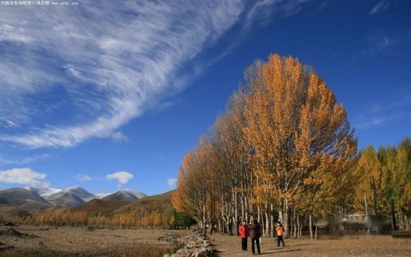 查看照片详细信息 天下民宿