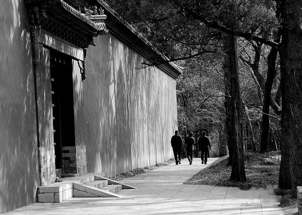 查看照片详细信息 天下民宿