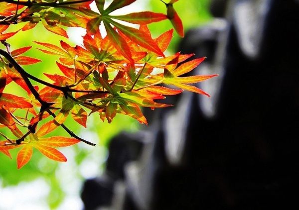 查看照片详细信息 天下民宿