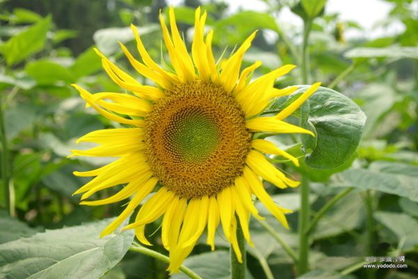 查看照片详细信息 天下民宿