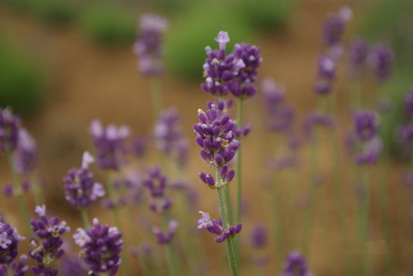 查看照片详细信息 天下民宿