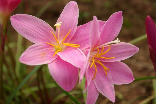 查看照片详细信息 天下民宿