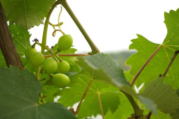 查看照片详细信息 天下民宿