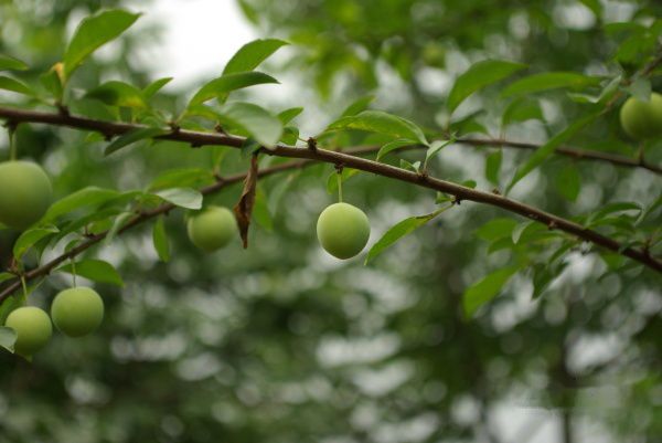 查看照片详细信息 天下民宿