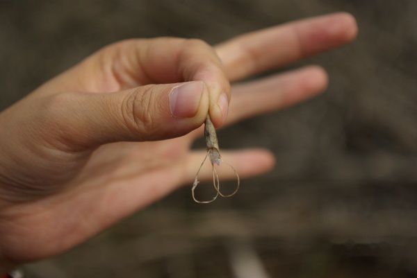 查看照片详细信息 天下民宿