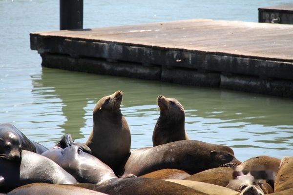 查看照片详细信息 天下民宿