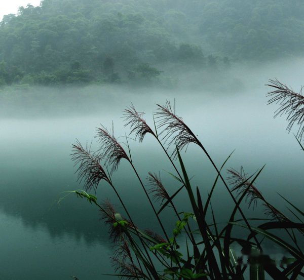 查看照片详细信息 天下民宿