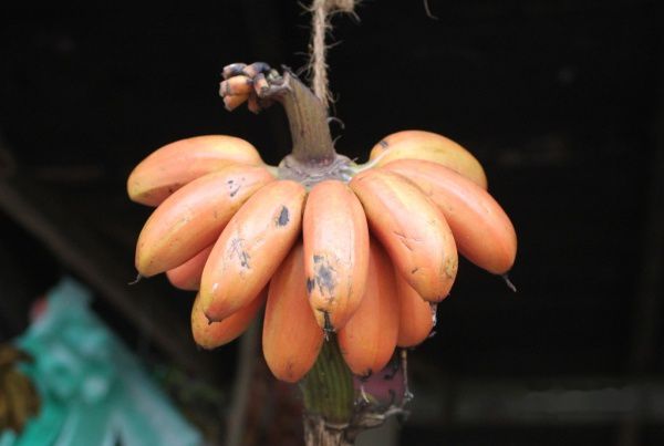 查看照片详细信息 天下民宿