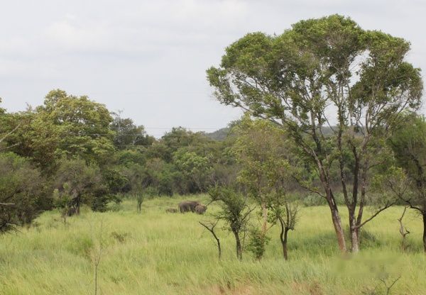查看照片详细信息 天下民宿