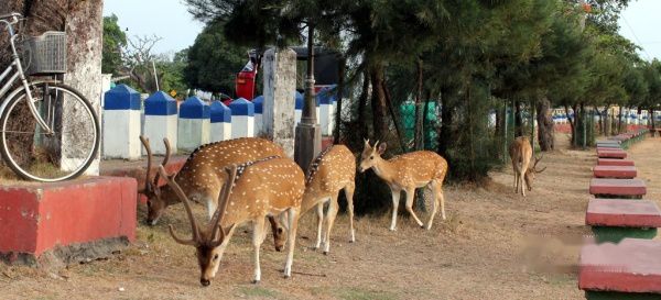 查看照片详细信息 天下民宿