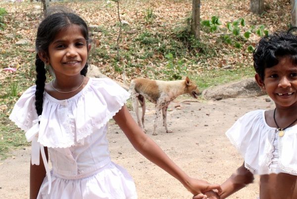 查看照片详细信息 天下民宿