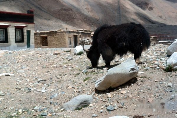 查看照片详细信息 天下民宿