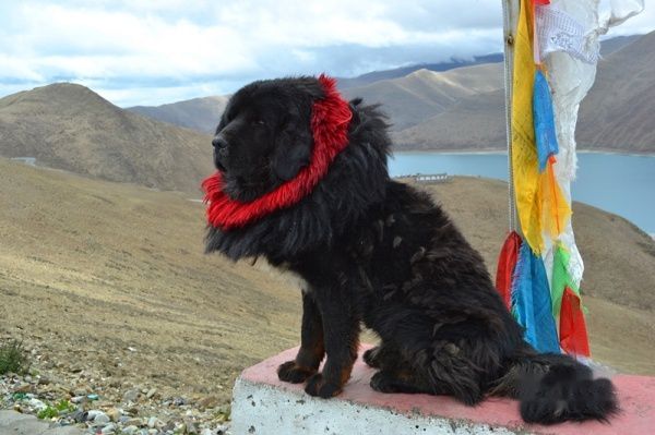 查看照片详细信息 天下民宿