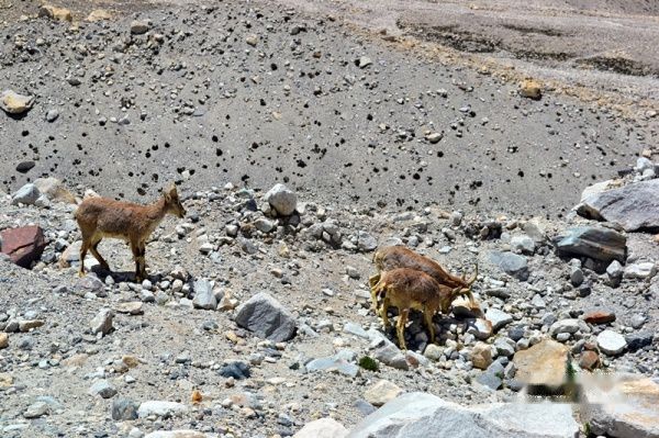 查看照片详细信息 天下民宿