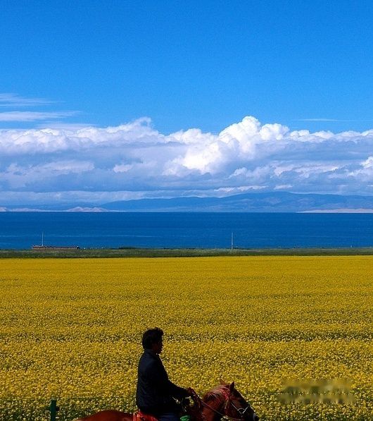查看照片详细信息 天下民宿