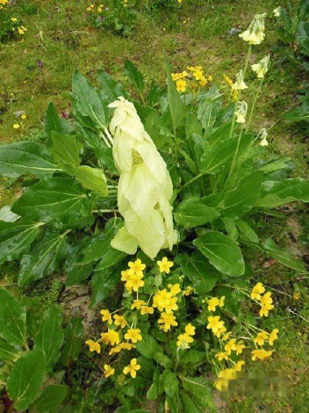 查看照片详细信息 天下民宿