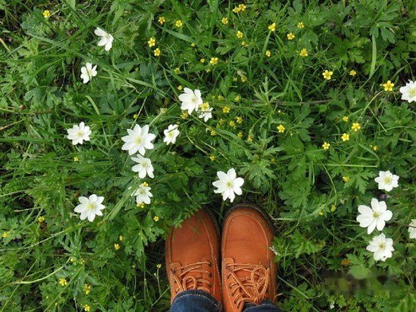 查看照片详细信息 天下民宿