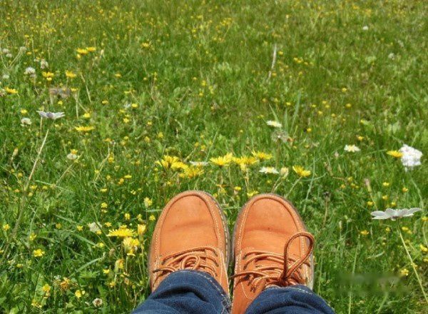 查看照片详细信息 天下民宿