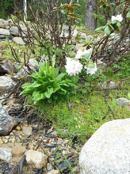 查看照片详细信息 天下民宿