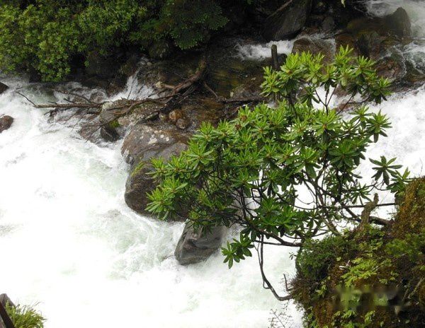 查看照片详细信息 天下民宿