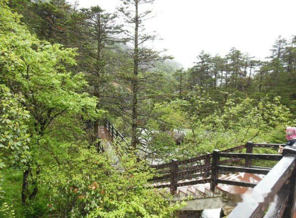 查看照片详细信息 天下民宿