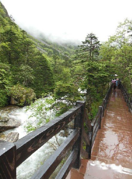 查看照片详细信息 天下民宿