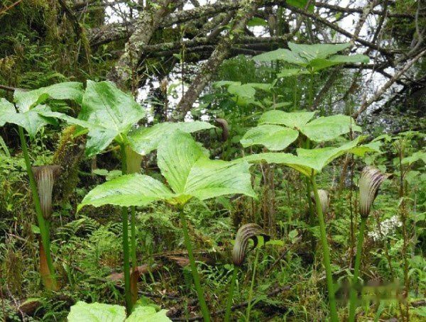 查看照片详细信息 天下民宿