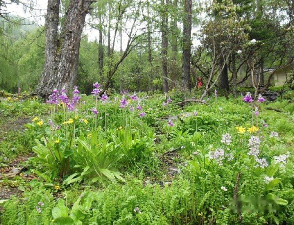 查看照片详细信息 天下民宿