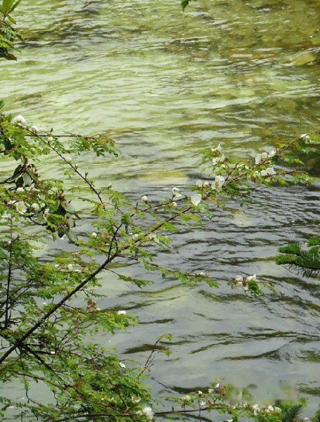 查看照片详细信息 天下民宿