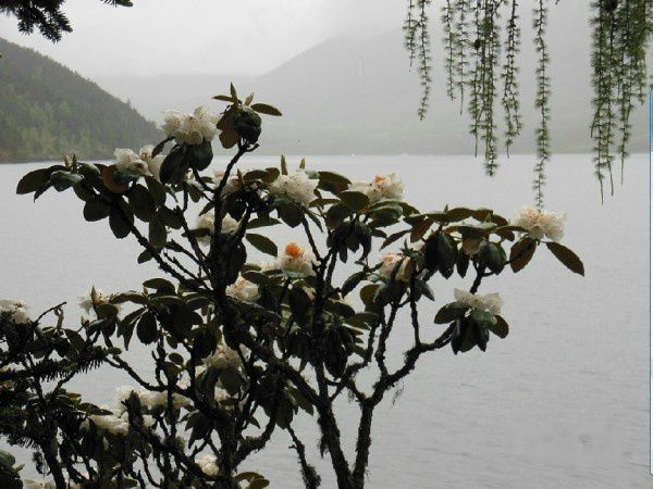 查看照片详细信息 天下民宿