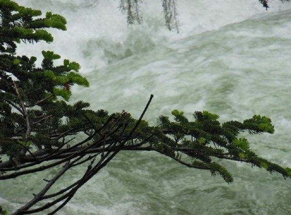 查看照片详细信息 天下民宿