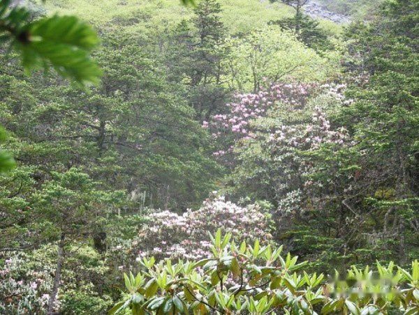 查看照片详细信息 天下民宿