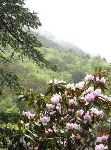 查看照片详细信息 天下民宿