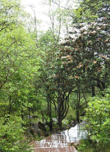 查看照片详细信息 天下民宿