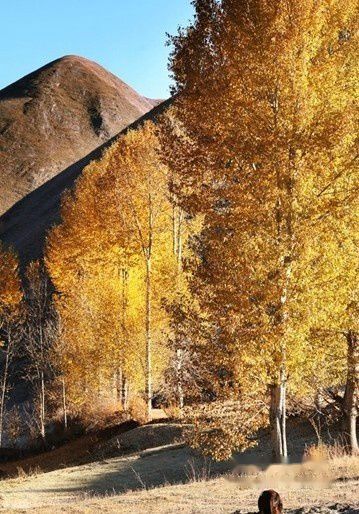 查看照片详细信息 天下民宿