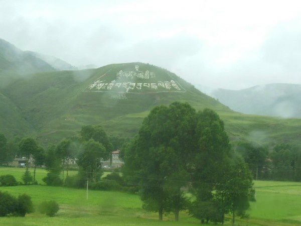 查看照片详细信息 天下民宿