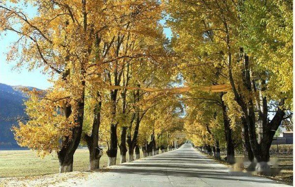 查看照片详细信息 天下民宿