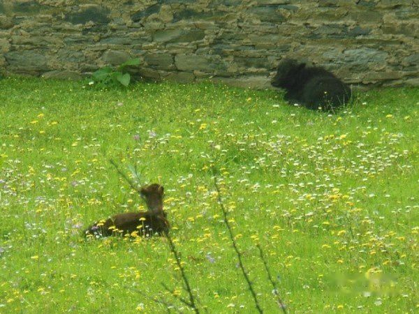 查看照片详细信息 天下民宿
