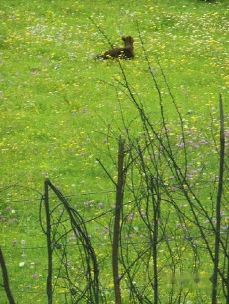 查看照片详细信息 天下民宿