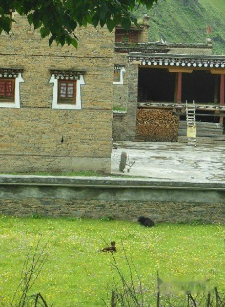 查看照片详细信息 天下民宿